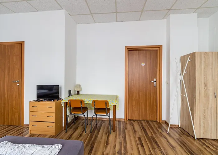 公寓 Enjoy Your With Dkn - Mon-sun - Late Night Check-in - Multilanguage - Near Railway Station - Witamy Serdecznie *